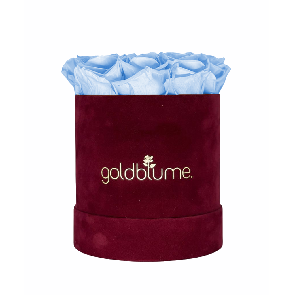 Collection Velours Bordeaux