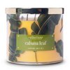 Geurkaars Tropic Cabana Leaf - 411g