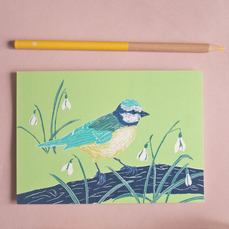 Postcard | tit