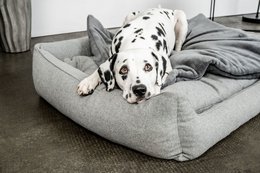 Manta para perros Emma gris oscuro (vegana)