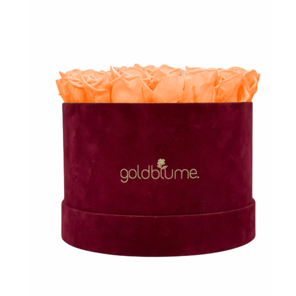 Collection Velours Bordeaux
