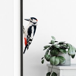  A black and white woodpecker with a red patch on its head, perched on a wall.
