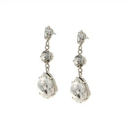 Silver Beetle Drop Earrings