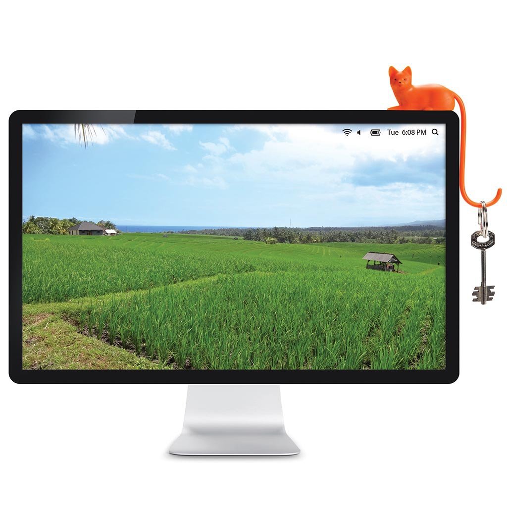 Katzenschwanzhaken für Computerzubehör | INGWER