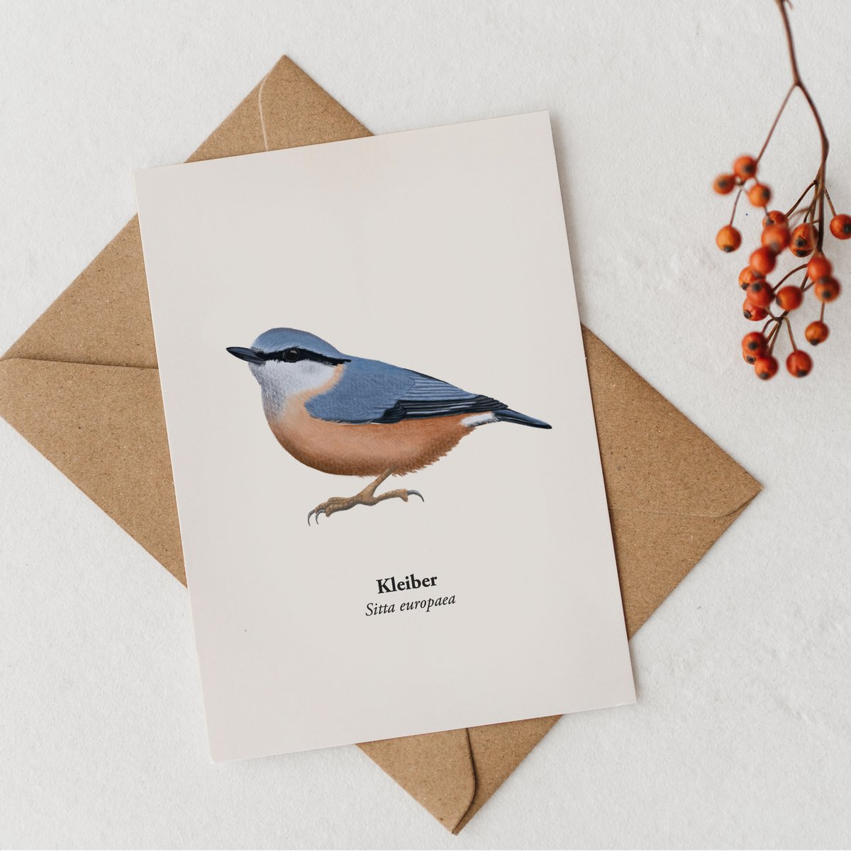Postal Kleiber - Vogel Ilustration - Miniprint - Regalo para Vogel Liever - Mini impresión de arte - Aves domésticas