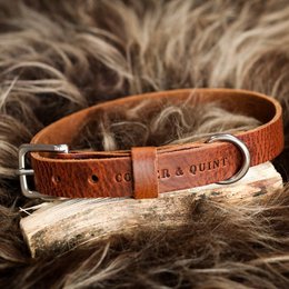 No Fuss Collar Dog Leather Brown