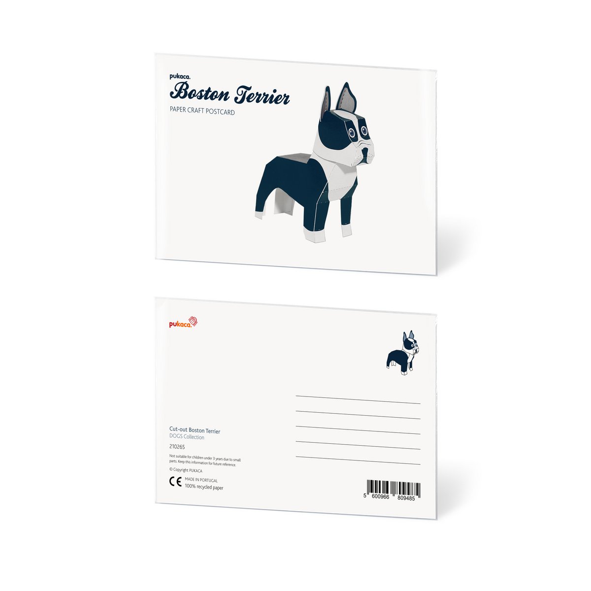 Boston Terrier Postcard