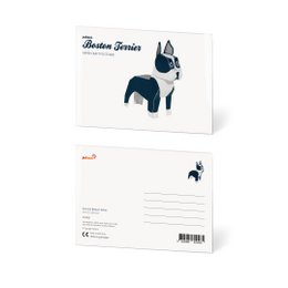 Boston Terrier Postcard