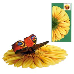 Butterfly pop-up card