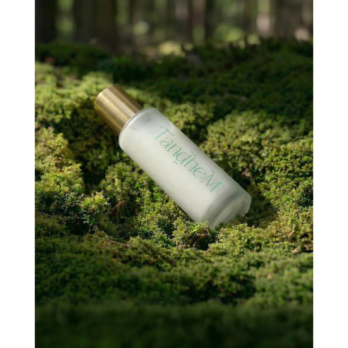 Pro-Aging Essential Face Serum (30 ml)