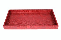 Plateau rectangulaire pour reptiles rouge