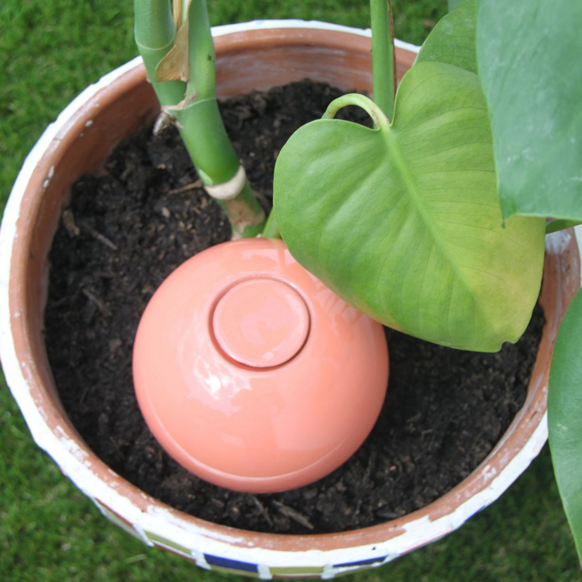 Ollas to Plant Pastel