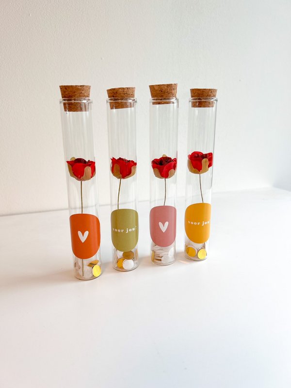 Gift tubes Roosje