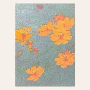 Risographie Postkarte – Kosmee – DIN A6