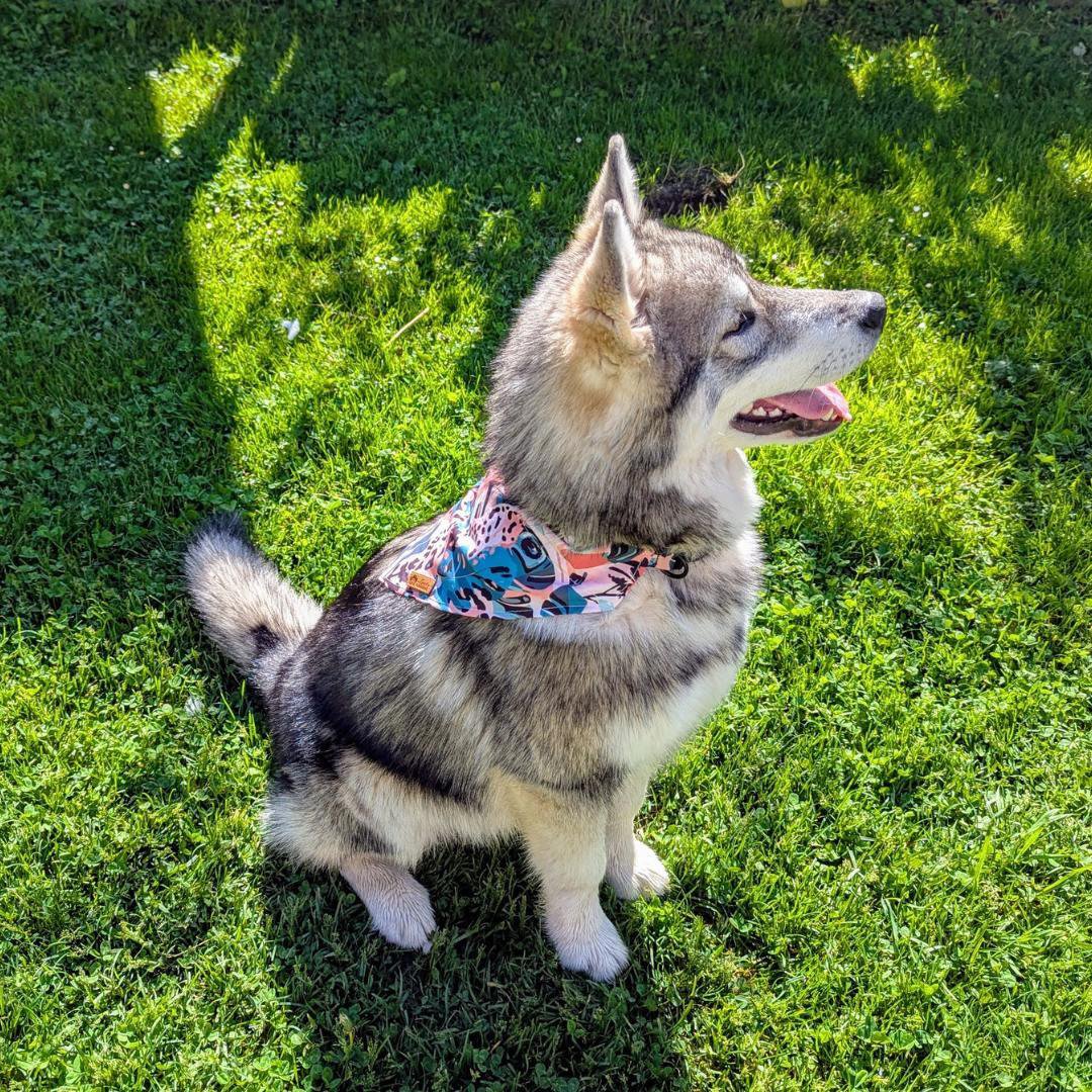 Savannah necklace and bandana