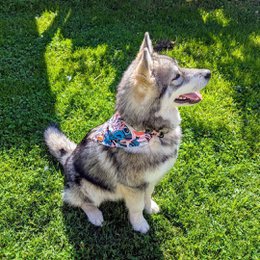 Savannah necklace and bandana