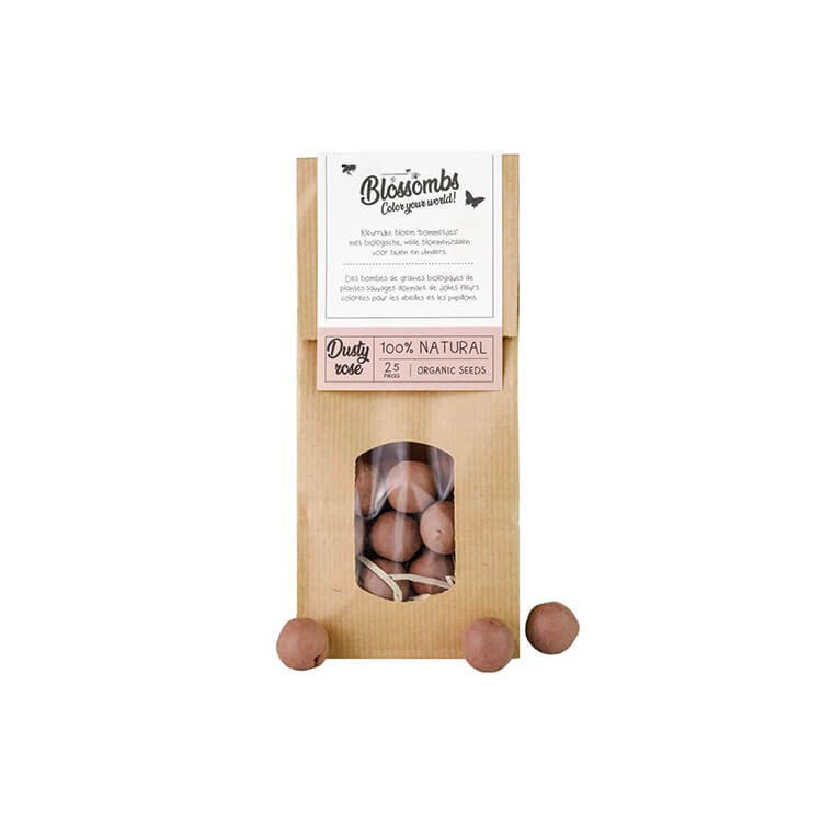 Kraft Bag 10 Pieces Seed Bomb