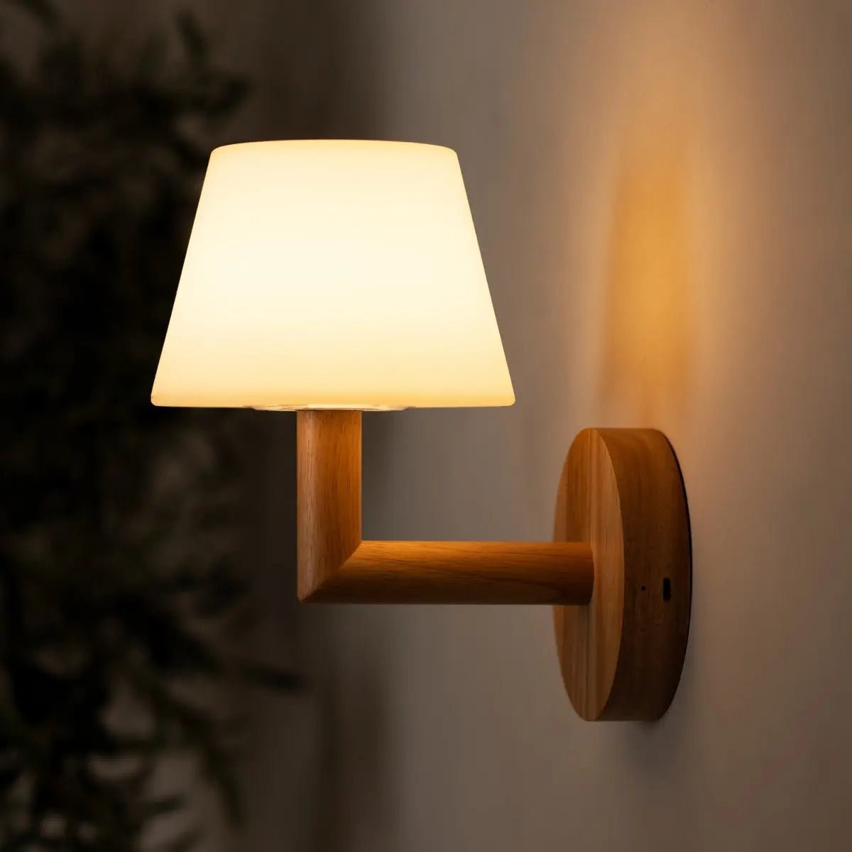 Ted Light Brown Wooden Rechargeable Wall Light