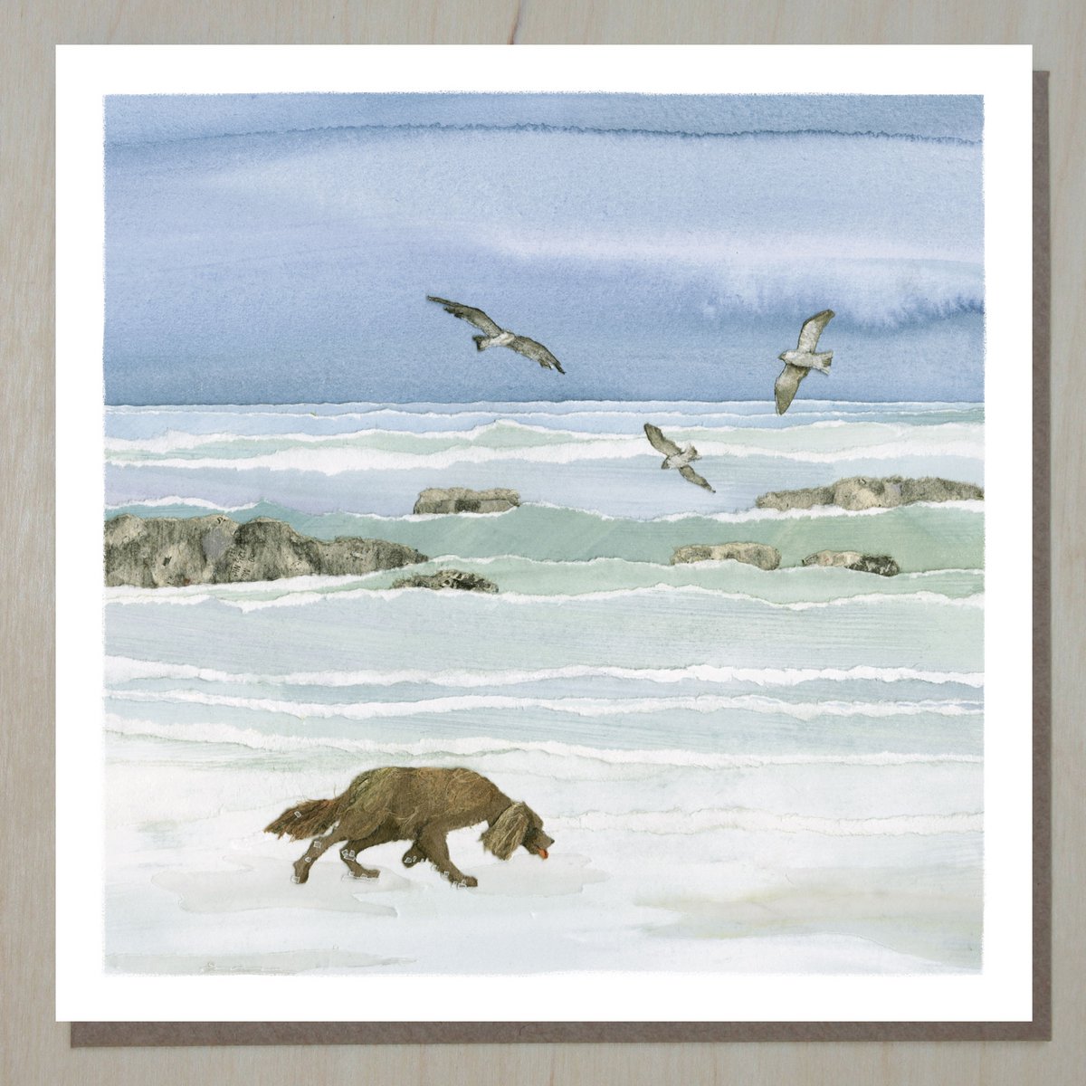 Carte Chien et Mer (bord de mer et côtier)