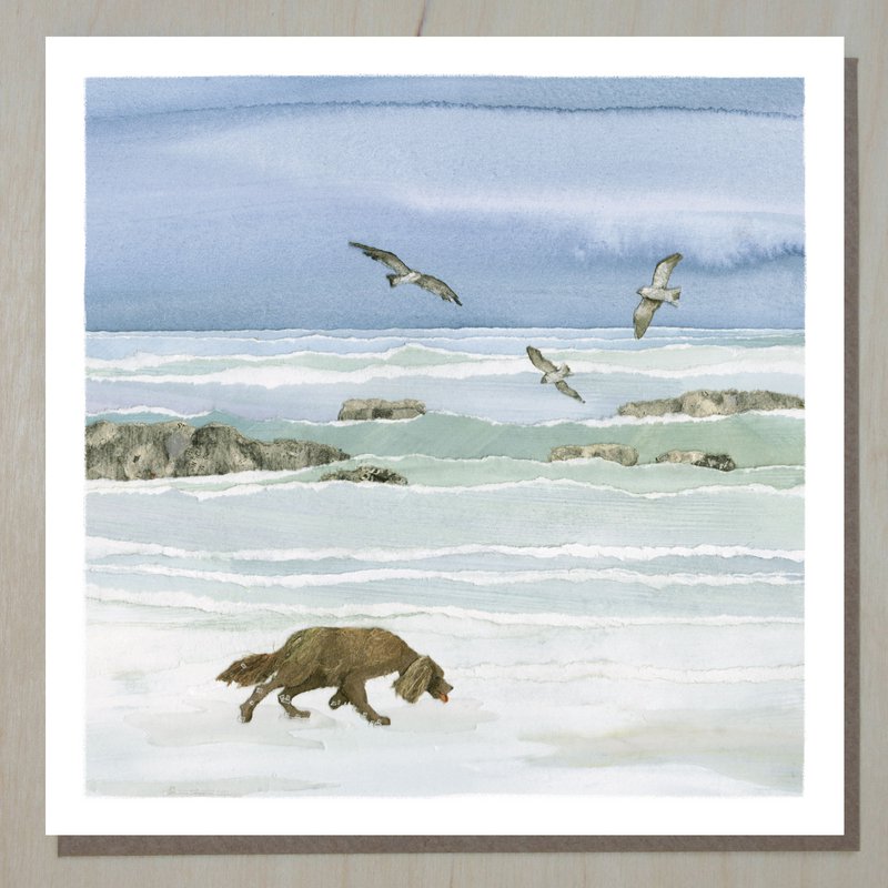Hunde- og havkort (ved havet og ved kysten)