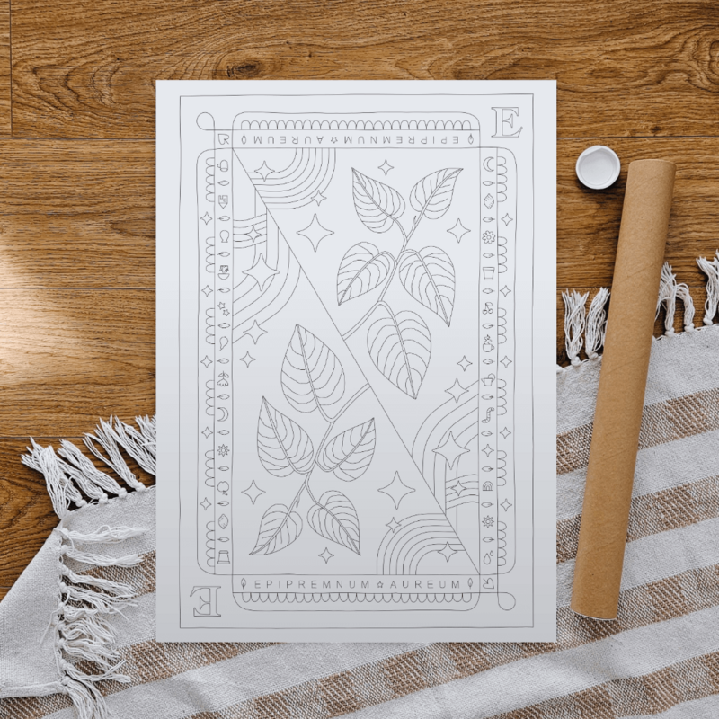 EpiPremnum Aureum Coloring Poster 50x70 cm