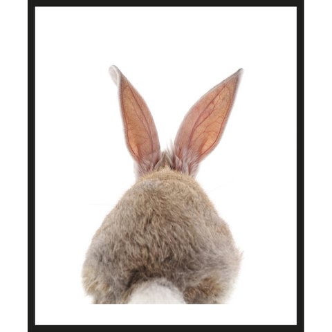 Framefoto - konijnenbont