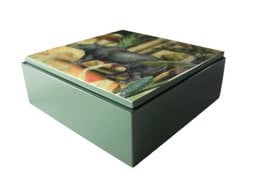 Decorative green box with a painting of a rhino, palm trees, and an antique-style square design.