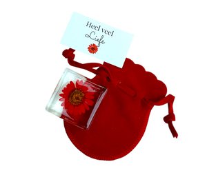 Lots of love flower in bag