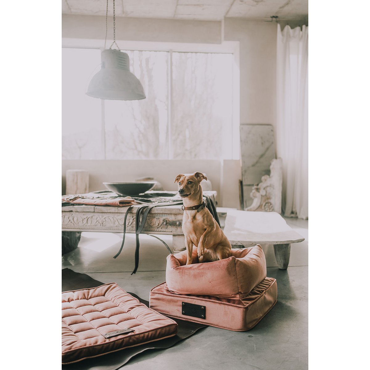"Nero" Lair for en hund og en kat fra det fluffy hvalpemærke, lys fløde, velourmateriale, håndlavet!