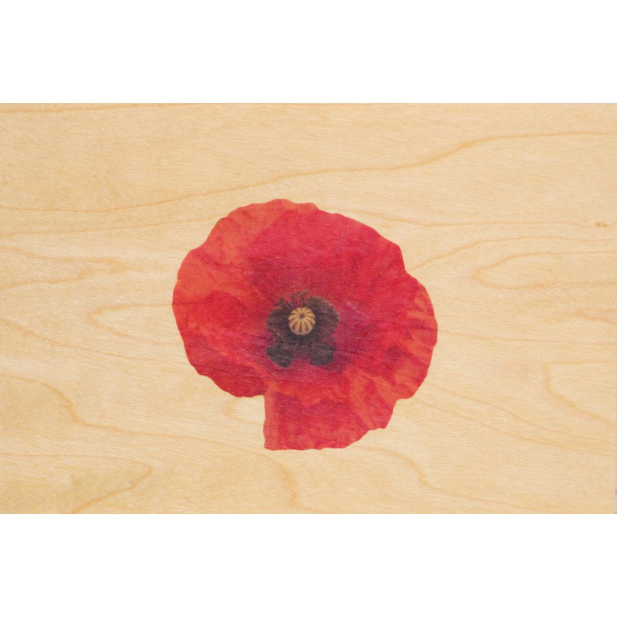hölzerne Postkartenbilder Mohn