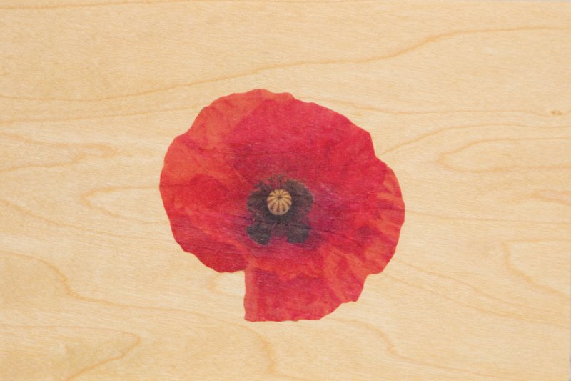 Carte postale en bois photos coquelicot