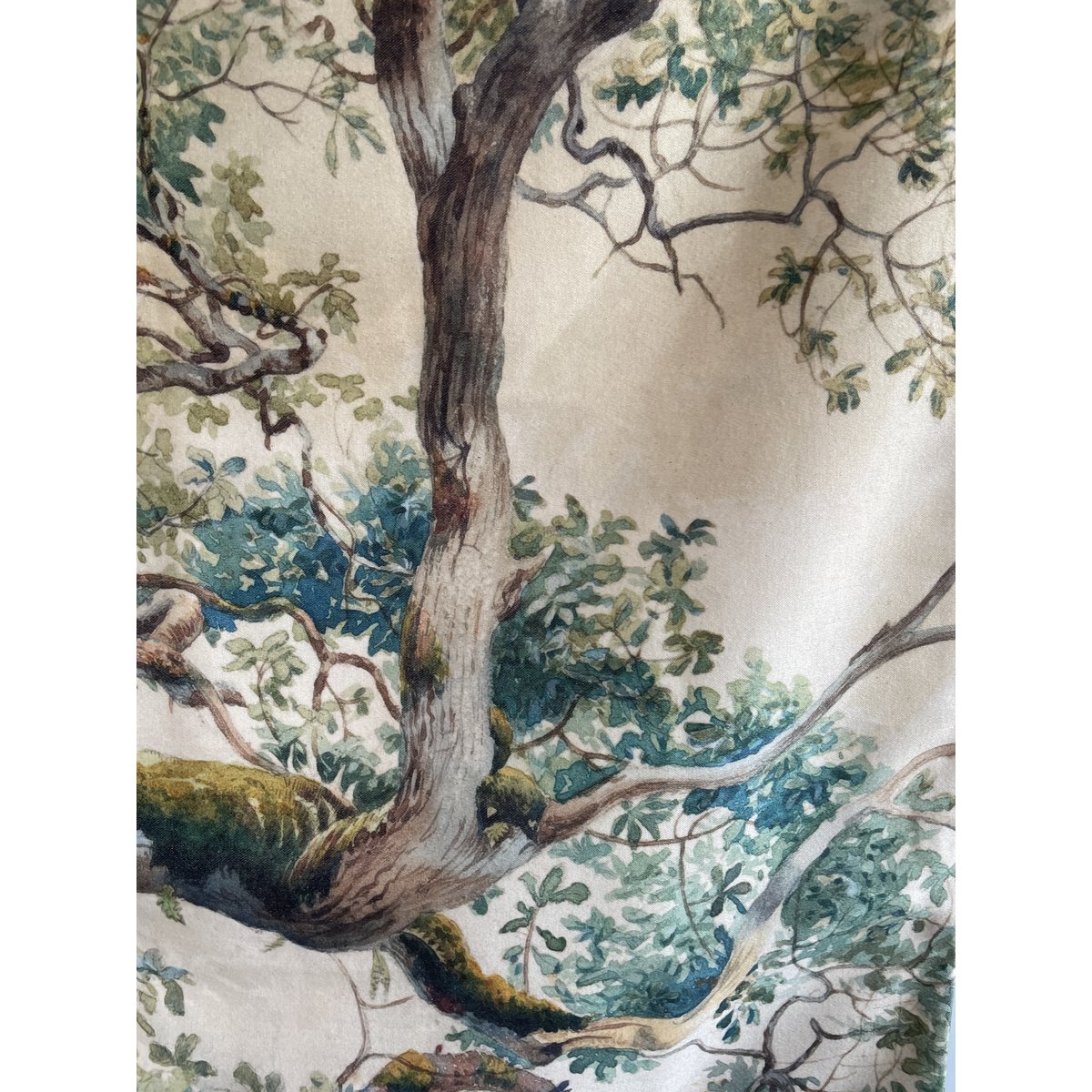 vintage Botanique Aquarelle Jeter Oreiller Nature Inspiré Décor | TRE001