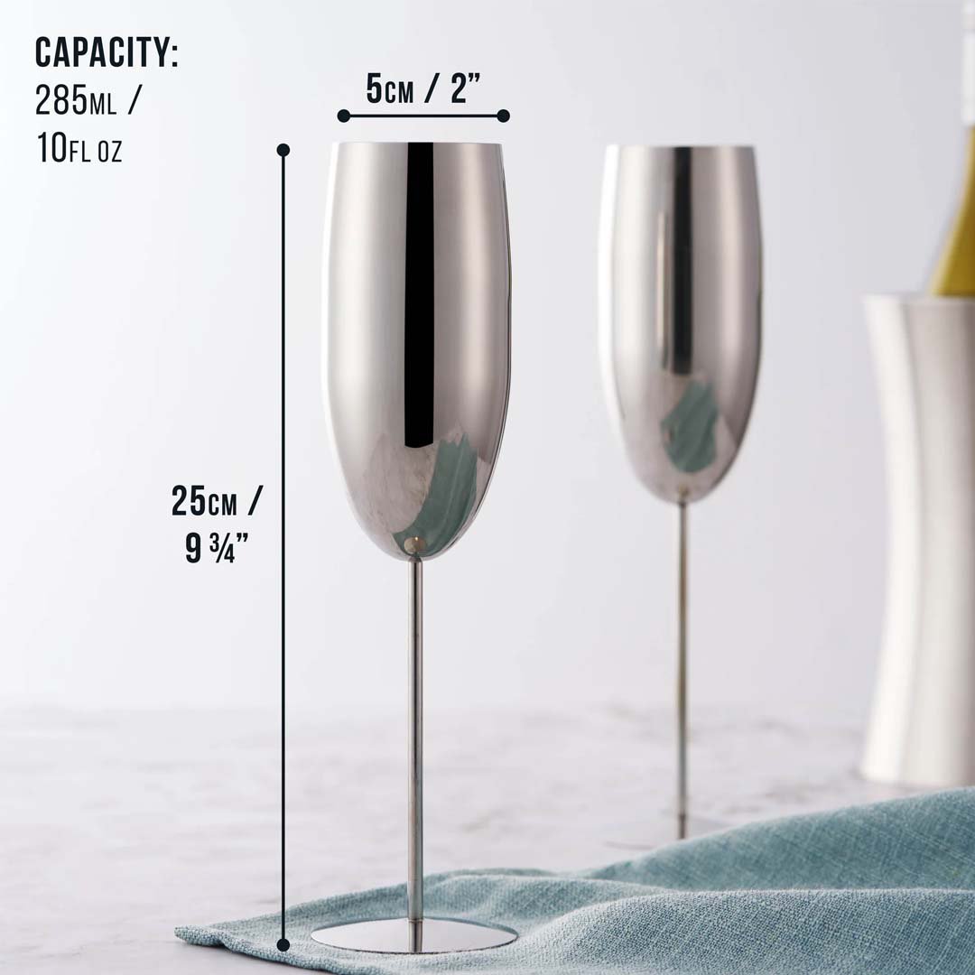 Champagne Flute Silver 4x28.5cl
