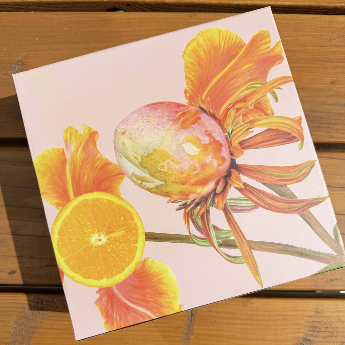 Botanical Wonders - Set of 4 breakfast plates