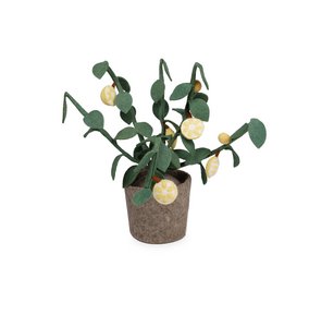 Plant citrus, felt decoration plant