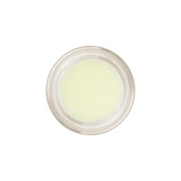 Honeybalm Mint