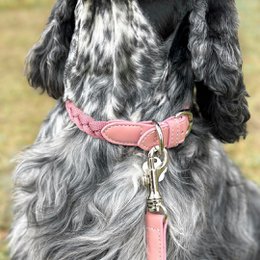  Pink braided dog collar with metal tag, adjustable pet accessory in petal shade.