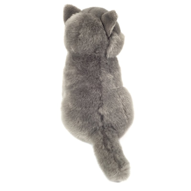 Carthusian cat sitting 20 cm - soft toy - soft toy