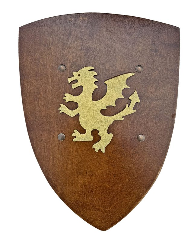 SHIELD RUSTIK L DRAGON - ST602