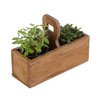 Pflanzenbox Viola
