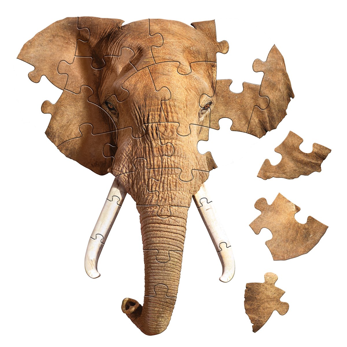 I Am Preschool - Olifant