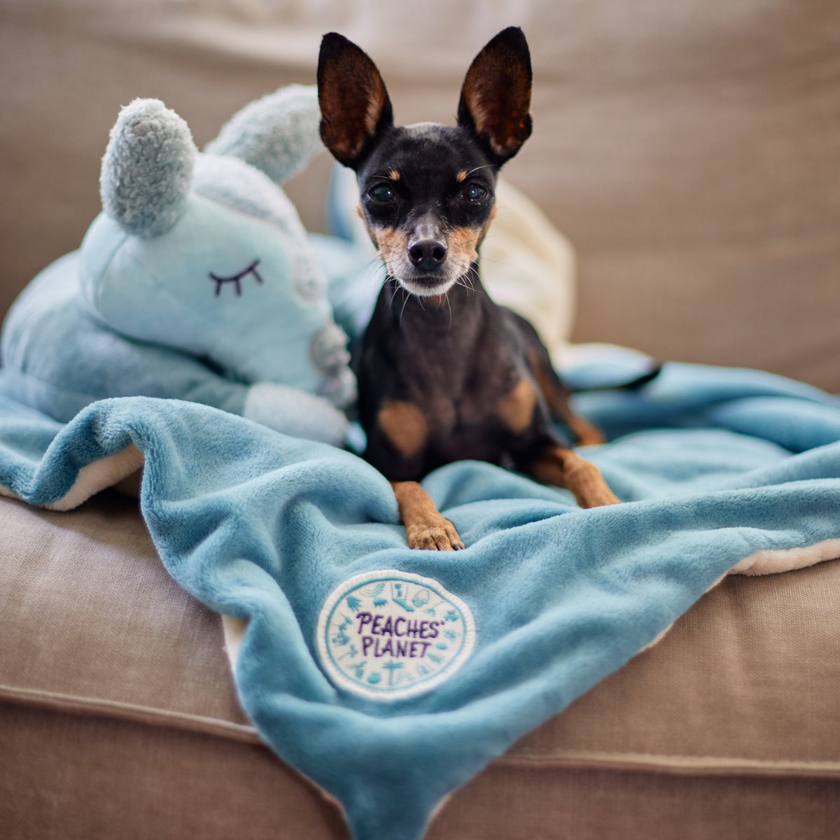 Peaches 'planeet gezellige momenten knuffelende dekenblauwe oceaan voor honden