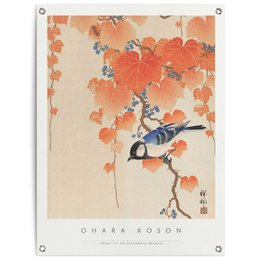 Tuinposter Tuinposter Ohara Koson - Cinciallegra 80x60