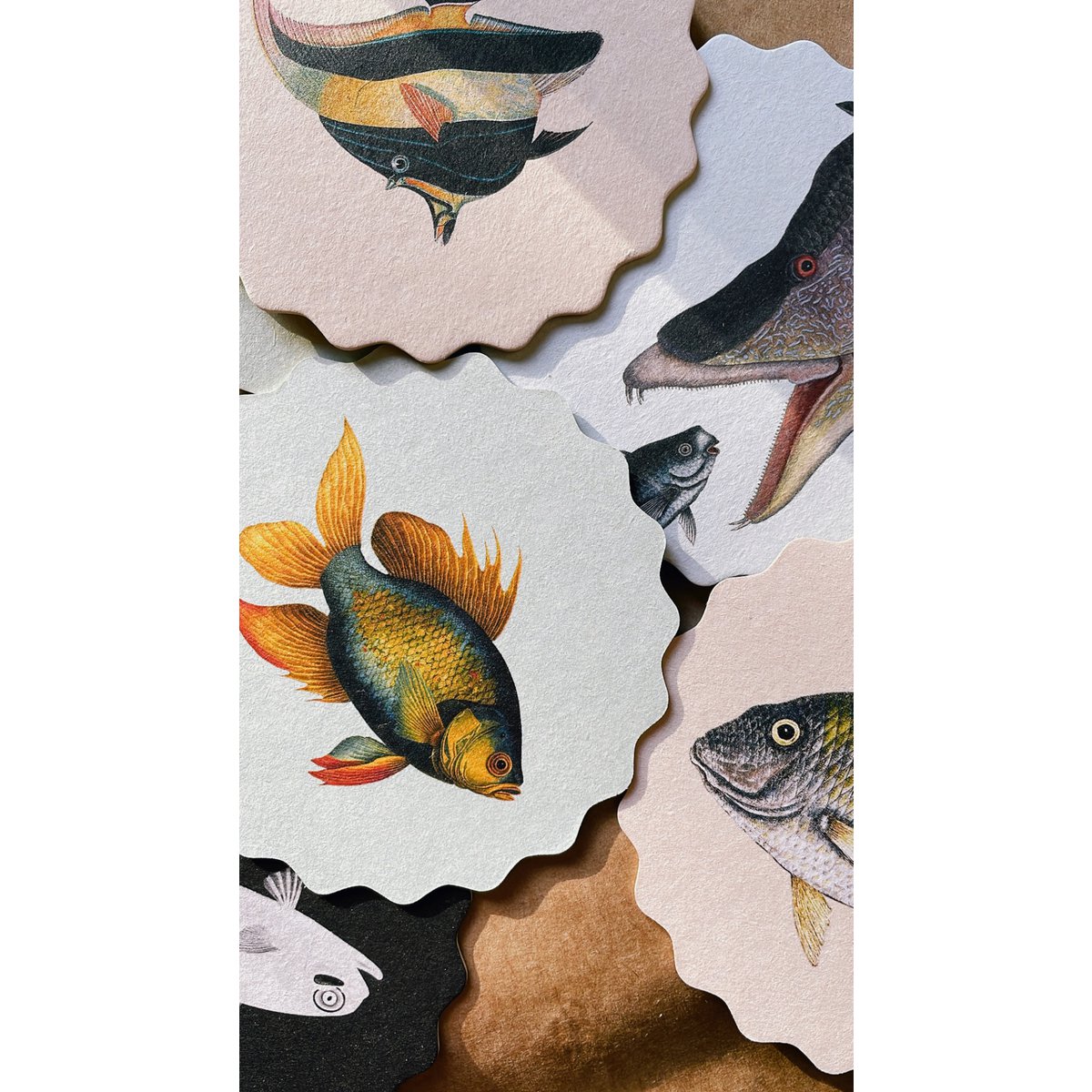 Sottobicchiere 10 motivi pesce - 12 set