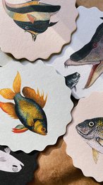Sottobicchiere 10 motivi pesce - 12 set