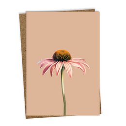 Grußkarte Leporello Sonnenhut