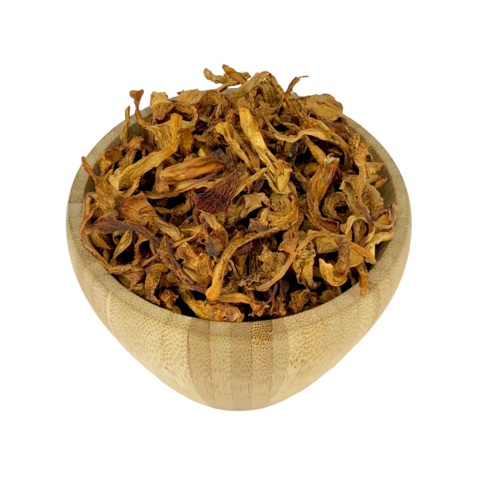 Bio-Pfifferling-Pilze Bulk