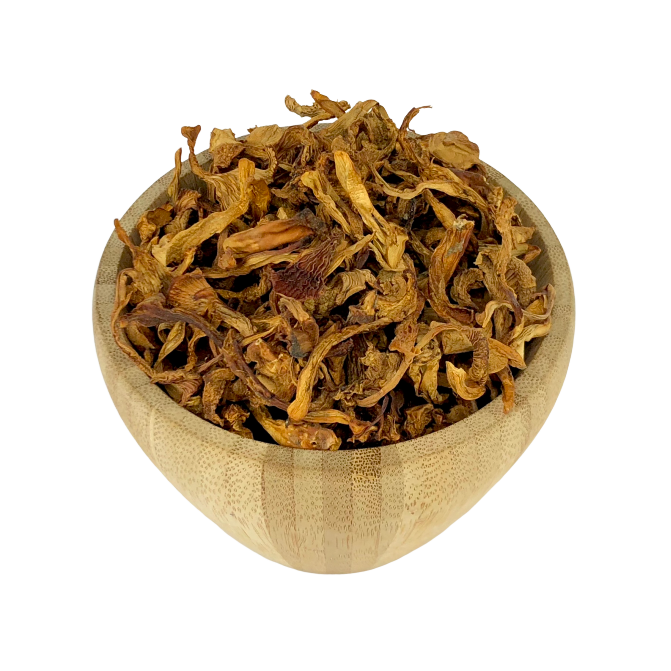 Bio-Pfifferling-Pilze Bulk