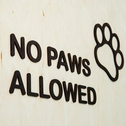 Hundebarriere -Tor, tragbares Holz -Sicherheitstor für Haustiere (keine Bohrungen erforderlich)