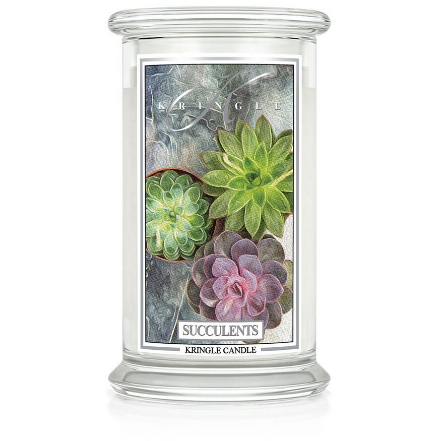 Duftkerze Succulents Large